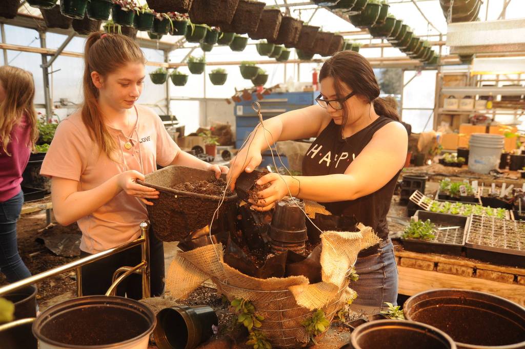 SHS plans May plant sale