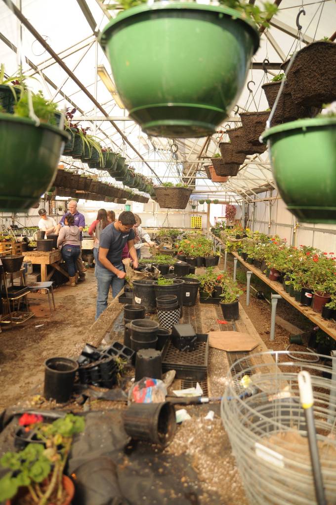 SHS plans May plant sale