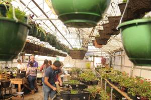 SHS plans May plant sale