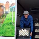 Creamery pulls milk from stores after E. coli found in sample