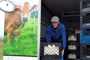 Creamery pulls milk from stores after E. coli found in sample