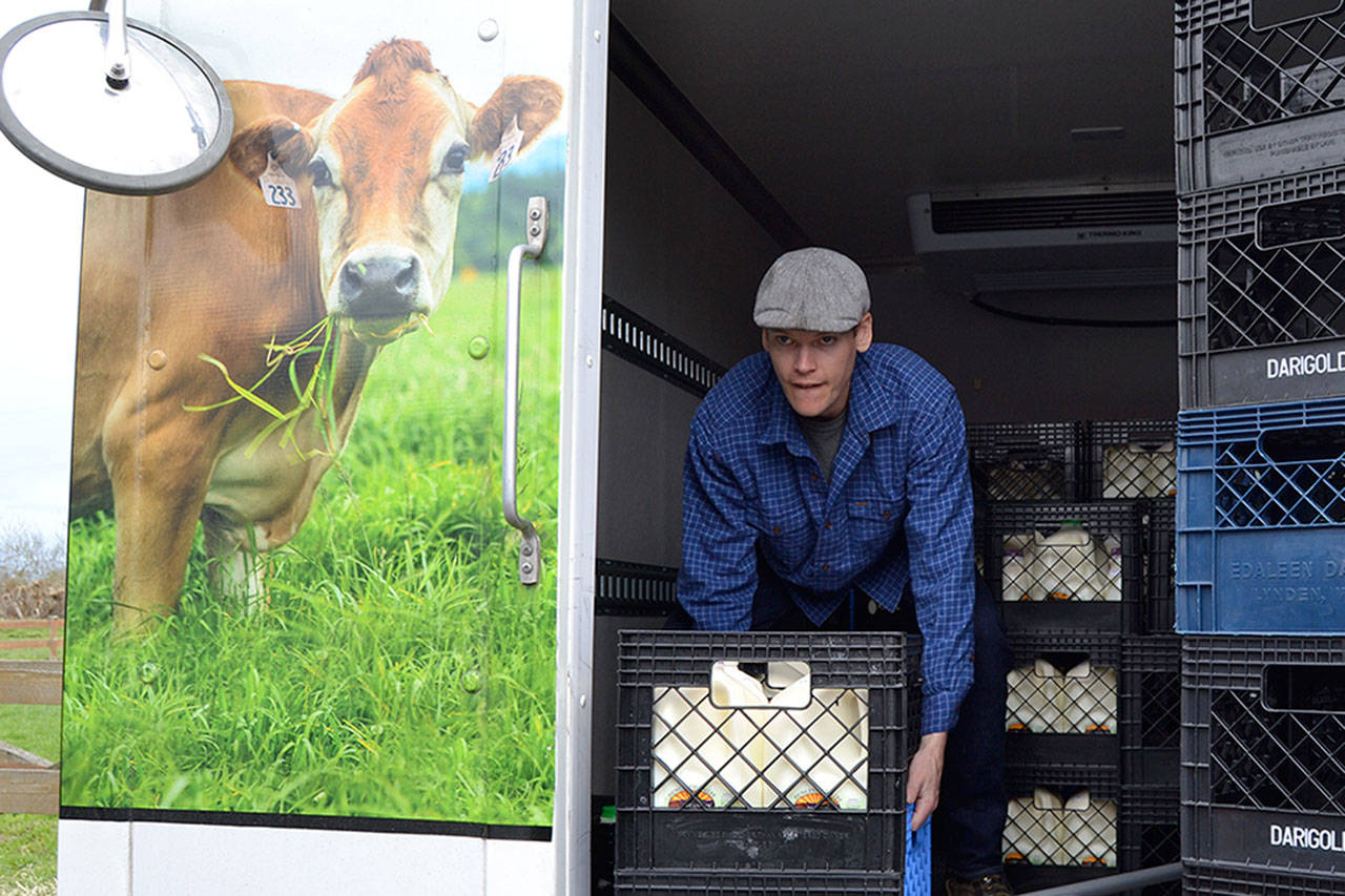 Ryan Murphy, store manager, readies gallons of milk to dump after owners of the Dungeness Valley Creamery opted to voluntarily recall raw milk with the expiration date through April 20. Staff await word on when newer samples of product are state-approved so they can restock shelves across Western Washington. Sequim Gazette photo by Matthew Nash