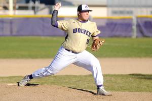 Wolf of the Week: Johnnie Young