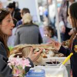 Sequim Irrigation Festival begins 124th year this weekend