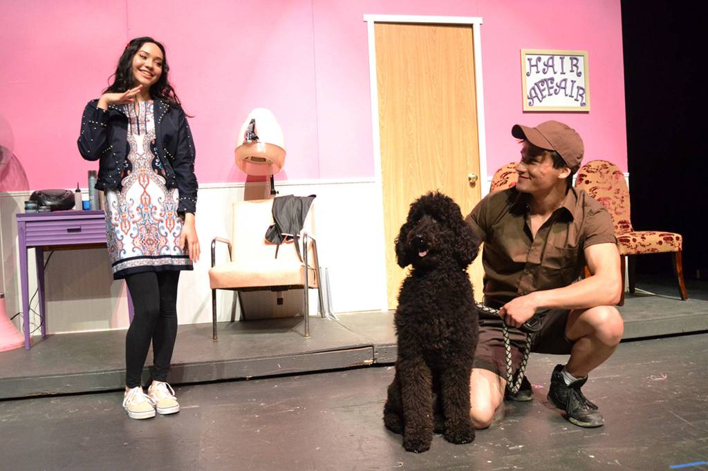 Paulette, played by Erin Gordon, looks to win the affection of the UPS man, Ryan Chen, in Legally Blonde with help from Elle Woods (Maddy Dietzman) and take back her dog Rufus (Jeannie) from her ex-boyfriend. Sequim Gazette photo by Matthew Nash