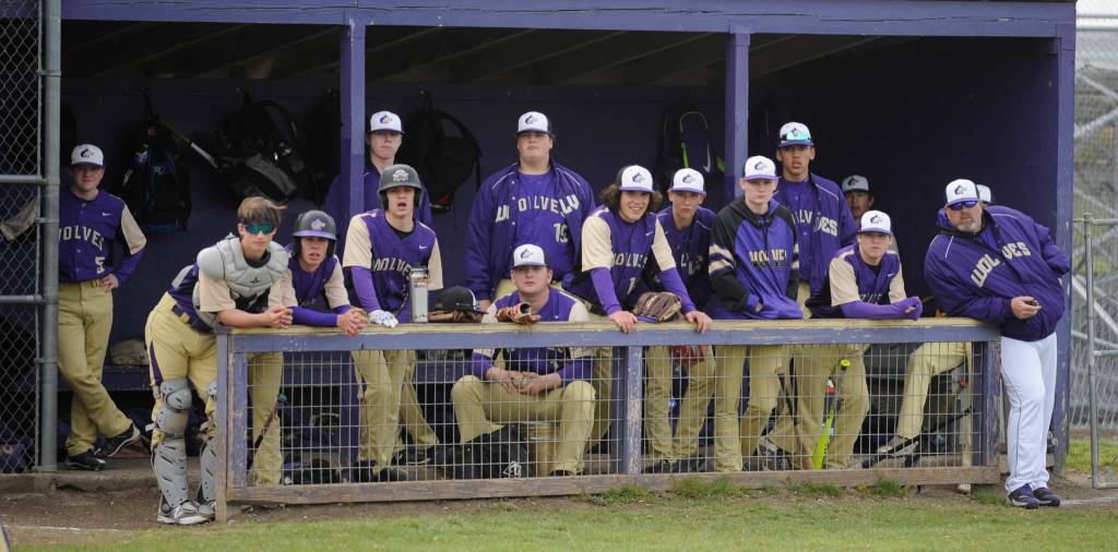 Baseball: Wolves earn postseason berth with wins