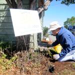 Brooks Peterson works outside a home near downtown Sequim that volunteers helped clean up, one of several 2019 Beautiful Day projects throughout Sequim on April 27. Sequim Gazette photo by Michael Dashiell