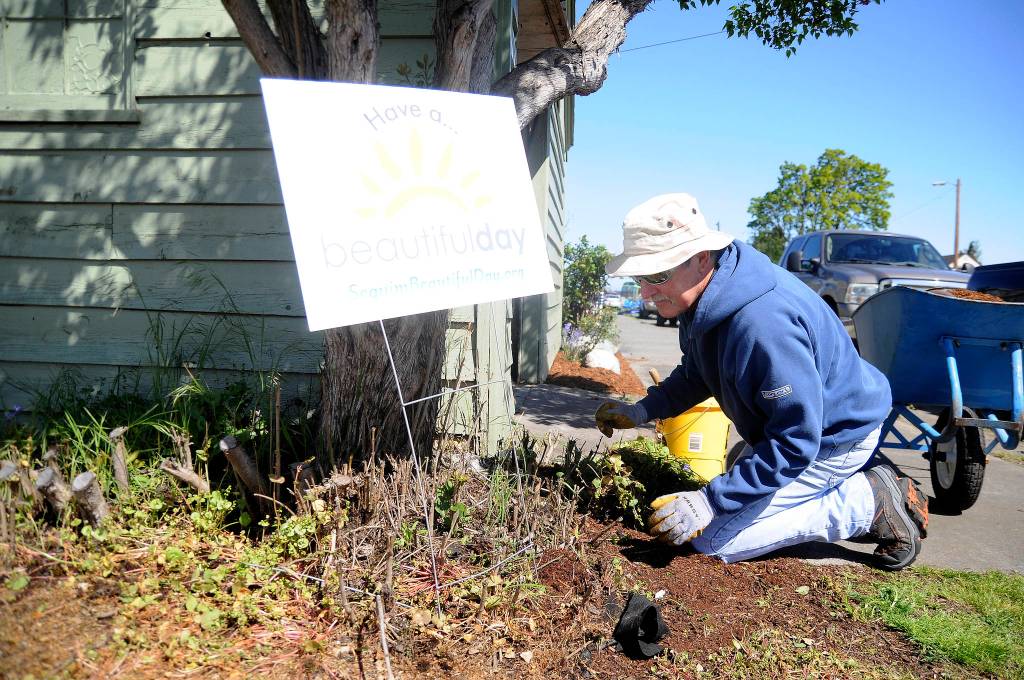 Brooks Peterson works outside a home near downtown Sequim that volunteers helped clean up, one of several 2019 Beautiful Day projects throughout Sequim on April 27. Sequim Gazette photo by Michael Dashiell