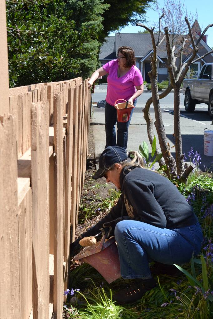 Michele Remetta, in front, and Rhonda Butler with Sequim Community Church paint a fence at the Sequim-Dungeness Hospital Guild Thrift Shop for Sequim Beautiful Day. They said it was their first time helping with the community project.