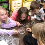 From left, Claire Hardy, Teagan Neathery and Landon Sutherland (right), students in Doreen Minards class at Helen Haller, take part in a presentation by Dungeness River Audubon Center representatives. Submitted photo