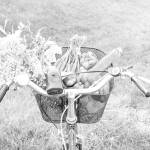 Bicyclists, mothers and seniors, oh my!