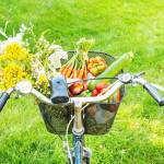 Bicyclists, mothers and seniors, oh my!