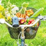 Bicyclists, mothers and seniors, oh my!