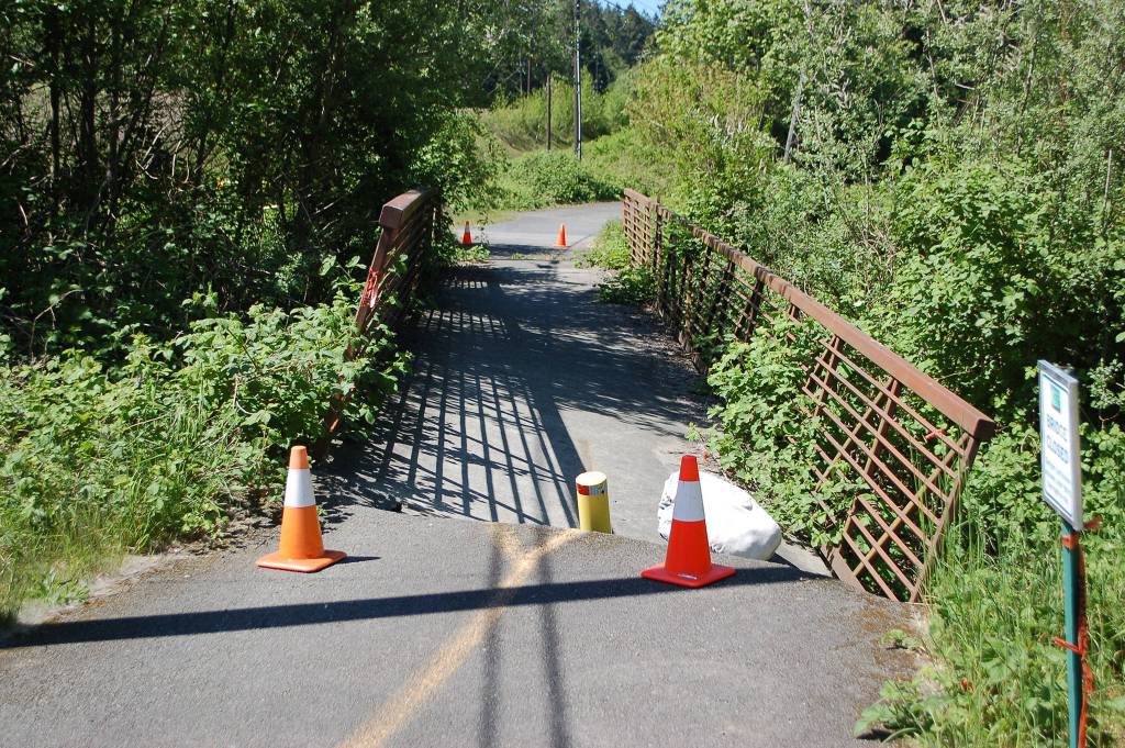 Blackberry bushes have started to overgrow the guardrails on the fallen Dean Creek Bridge, which washed out in April 2018. Sequim Gazette photo by Conor Dowley.
