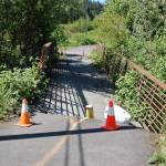 Blackberry bushes have started to overgrow the guardrails on the fallen Dean Creek Bridge, which washed out in April 2018. Sequim Gazette photo by Conor Dowley.