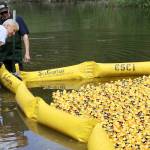 Port Angeles business owner wins Duck Derby’s top prize