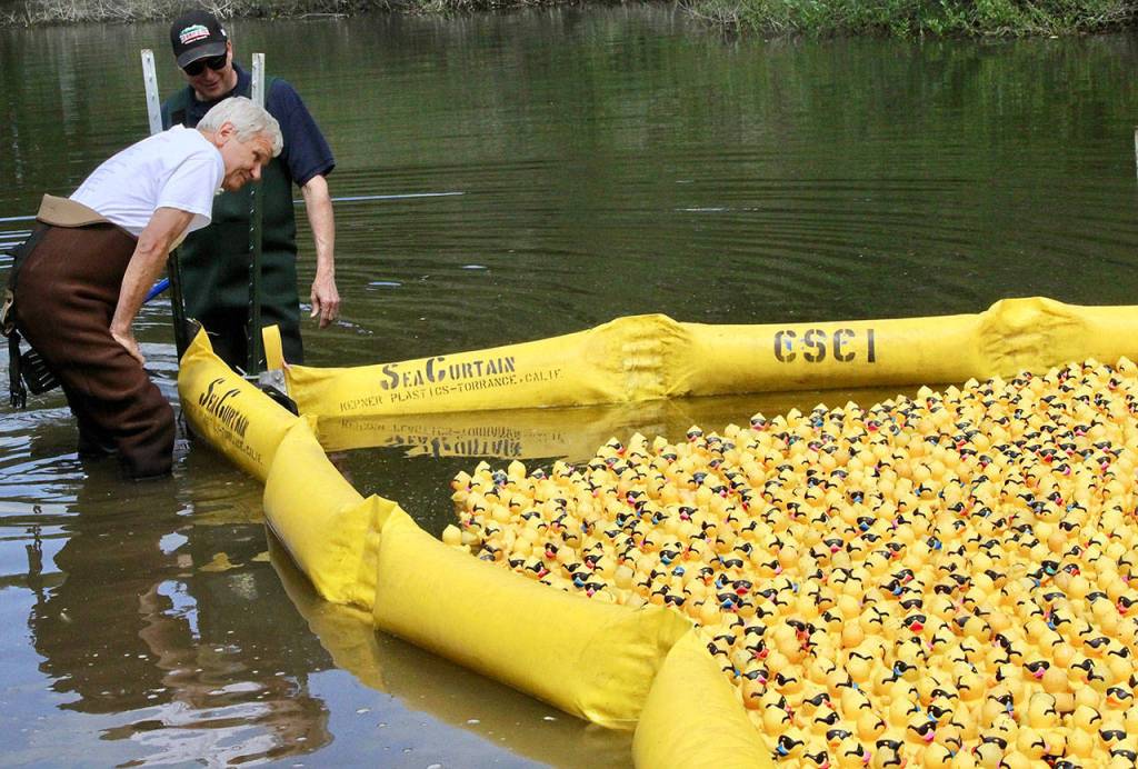 Port Angeles business owner wins Duck Derby’s top prize