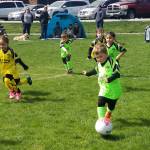 Two Sequim Junior Soccer U-6 teams play a game at Haller Field.