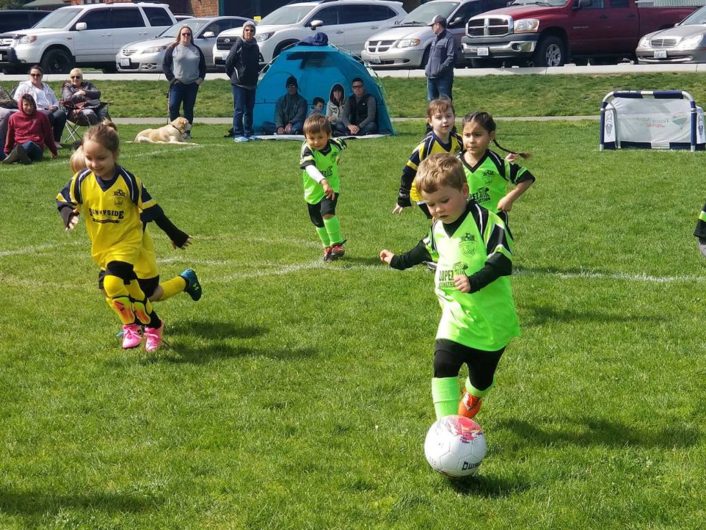 Two Sequim Junior Soccer U-6 teams play a game at Haller Field.