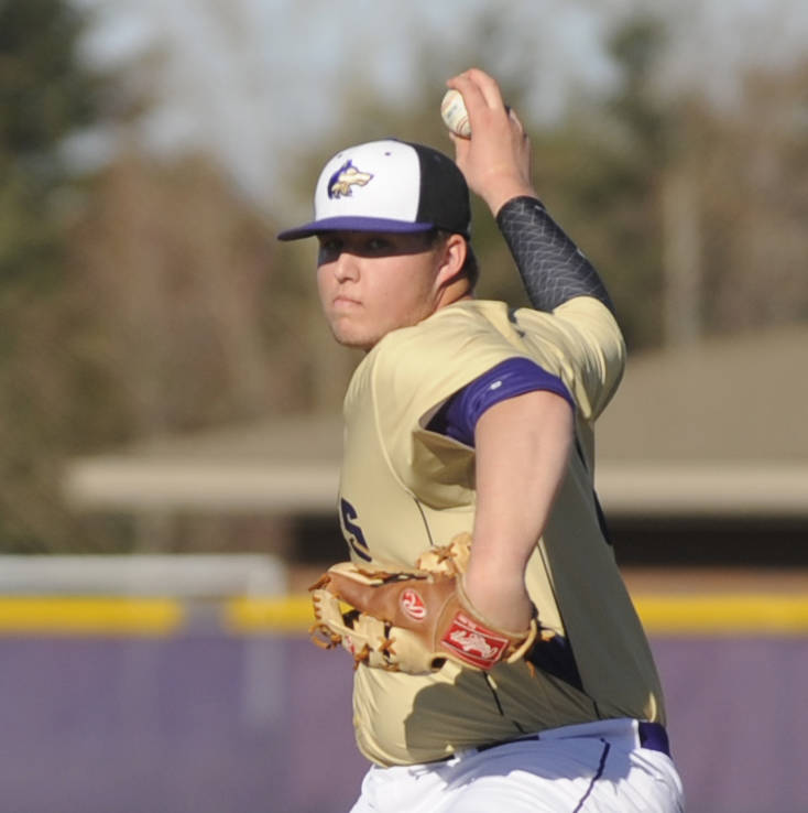 Prep sports: SHS’s Wolves rack up postseason honors