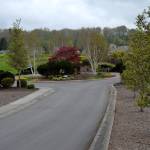 Seventy-one homes in Phase B and C of Jennies Meadow are on hold until developer Ruth Brothers Enterprises, LLC. can prove to the City of Sequim it has an easement to use Jennies Boulevard, and makes significant improvements to the road. They also have until mid-June to contest Sequim city councils decision in Clallam County Superior Court. Sequim Gazette photo by Matthew Nash