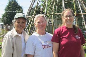 Gardening tips abound at Fifth Street garden walk