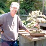 Big passion for tiny trees: Dungeness Bonsai Society host 43rd annual spring show