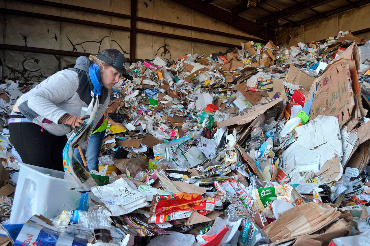 Megan Davis, Clallam County waste prevention specialist, looks for items to pull from the recycling pile of a recycling audit on May 31. She and other county officials look to educate residents on how to optimize their recycling efforts.