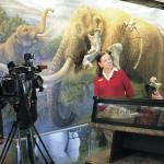 Clare Manis Hatler, far right, discusses the scientific findings relating to the Manis mastodon with Museum & Arts Center exhibit center manager Bridget Baker and a crew from KING 5 TV in October 2011. Hatler recently donated about 50 boxes of Manis mastodon artifacts and research to the Tacoma-based Washington State Historical Society. Submitted photo by Renee Mizar/Museum and Arts Center