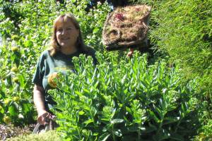 Learn about hardy succulents from an expert at Green Thumbs session