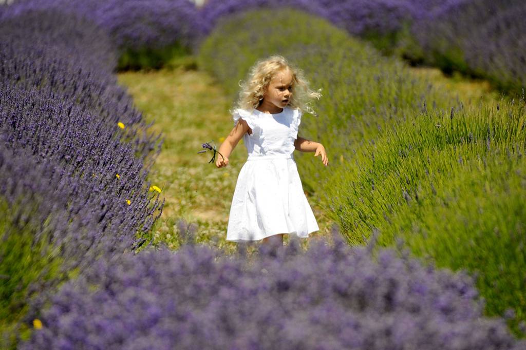 Milana Tishina of Renton, runs through Washington Lavender Farms fields in 2017 for the first time. Visitors can come to the farm and experience its festival.