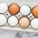 Get fresh and delicious eggs from DEKA Uniquities, available at the Sequim Farmers Market. Photo courtesy of April Hammerand/Sequim Farmers Market