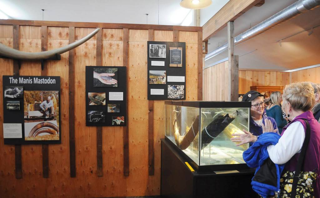 Above, visitors check out the Manis mastodon exhibit and more at the grand opening of the new Sequim Museum & Arts building on July 6. Left, Matt Dryke, 1984 Olympic Games gold medal winner (skeet shooting), joins his daughter Ellen at the opening of the new Sequim Museum & Arts building. A section of the museum details Drykes storied career in the sport.