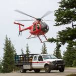 A helicopter flies overhead as crews load goats into the back of a truck in Olympic National Park on July 9. Photo by Jesse Major/Peninsula Daily News
