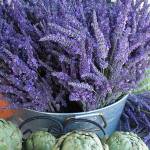 Sequim Farmers Market, the Lavender Weekend edition