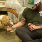 Rescue dog Leidi nervously eats some food offered to her by Brad Evans, the shelter manager at the Olympic Peninsula Humane Society. Leidi is one of the 29 Australian Shepherd/Border Collie mixes rescued from a property in Agnew in May after their owner died, with conditions on the property for the dogs described as awful by rescuers. Sequim Gazette photo by Conor Dowley