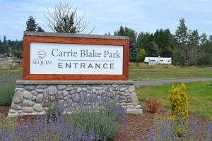 City to stop, revise park host program