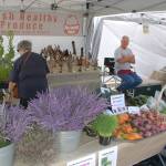 Greg Gundy of Sea Basket Farm sits in his booth at the Sequim Farmers Market during the Lavender Festival. Greg and his wife Marilyn brought a special larger version of their booth, where they sell various vegetables, herbs and hand-made kelp baskets and ceremonial items. Sequim Gazette photo by Conor Dowley.