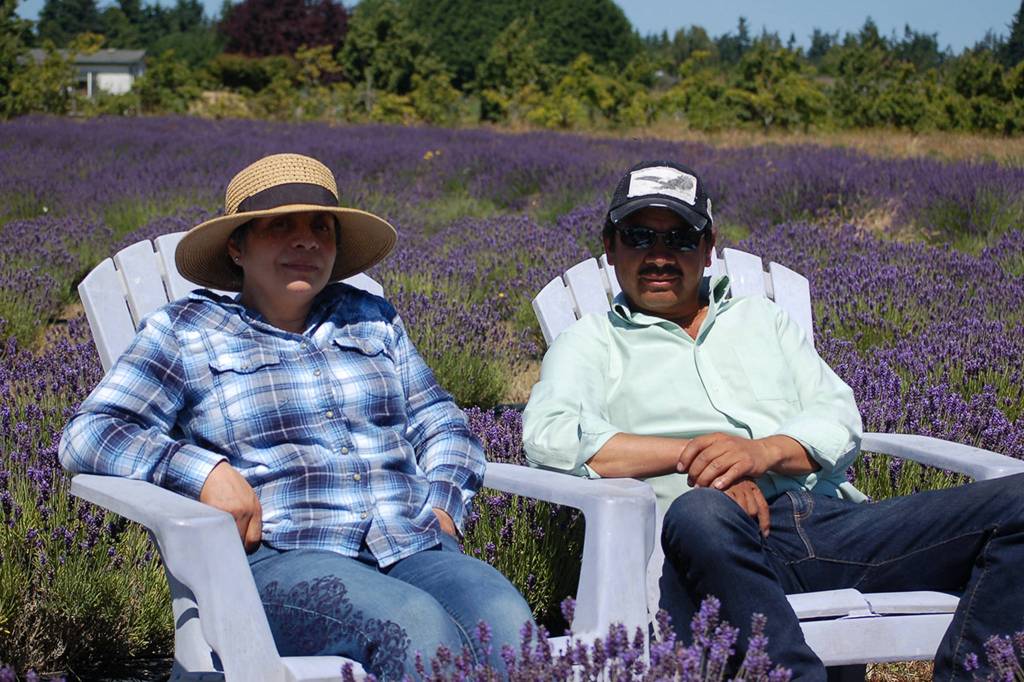Marybelle and Victor Gonzalez, owners of Victors Lavender, take a break in their lavender fields during the Lavender Festival. Ive never had my picture in the paper before, Victor said laughing. Sequim Gazette photo by Conor Dowley.