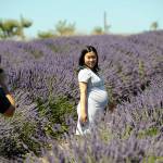Amanda Lin lines up for a baby shoot for her spouse August Ongasuwan of Seattle at Graysmarsh Farm on July 21. The couple visited Sequim last year but came this year specifically for a maternity shoot. Lin said shes about a month away from giving birth to a boy. Sequim Gazette photo by Matthew Nash