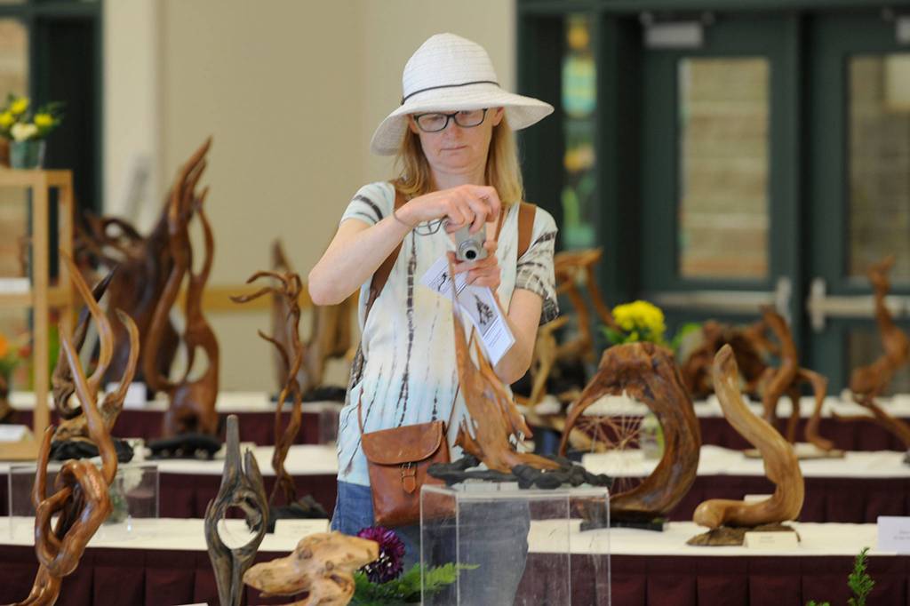 Wendy Boyd of Sequim snaps some shots of art at the 11th annual Olympic Driftwood Sculptors show on July 21. Boyd said she hopes the show helps give her an idea of what to do with some of the driftwood she sees while walking on the beach. Sequim Gazette photo by Matthew Nash