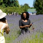 Jniyah Williams of Bothell poses for a photo with her friend Chloe Duchesne of Lake Stevens in the lavender at Lost Mountain Lavender. Duchesne said shes a dual citizen of France and the U.S. and was excited to see locally grown lavender in Washington because its so common in France. Sequim Gazette photo by Matthew Nash