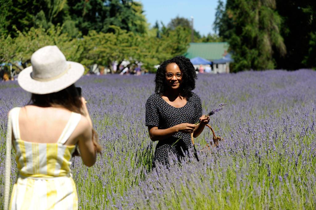 Jniyah Williams of Bothell poses for a photo with her friend Chloe Duchesne of Lake Stevens in the lavender at Lost Mountain Lavender. Duchesne said shes a dual citizen of France and the U.S. and was excited to see locally grown lavender in Washington because its so common in France. Sequim Gazette photo by Matthew Nash