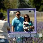 Swati and Shekhar Joshi of Bellevue found Melis Lavender Farm after taking a wrong turn into town. We took a wrong turn but it turned out to be right, and we went down to the John Wayne Marina. It was so beautiful, Swati Joshi said. Sequim Gazette photo by Matthew Nash