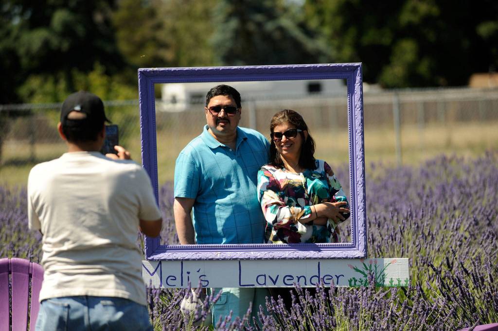 Swati and Shekhar Joshi of Bellevue found Melis Lavender Farm after taking a wrong turn into town. We took a wrong turn but it turned out to be right, and we went down to the John Wayne Marina. It was so beautiful, Swati Joshi said. Sequim Gazette photo by Matthew Nash