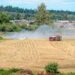 Firefighters quickly combat brush fire by highway