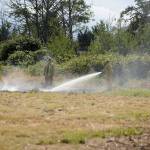 Recent rains helped prevent a brush fire from spreading more on July 19, firefighters with Clallam County Fire District 3 said. Sequim Gazette photo by Matthew Nash