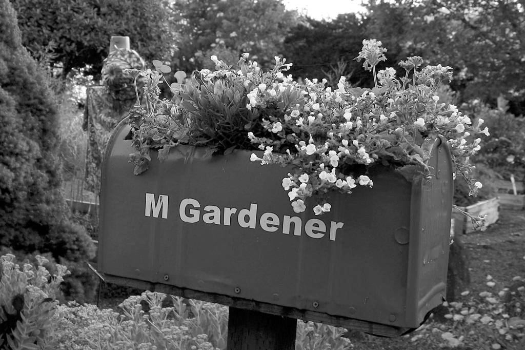 Pollinators are welcome to Woodcock Demonstration Garden. Photo submitted by WSU Clallam County Extension Master Gardeners
