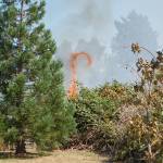 A tongue of flame rises over blackberry bushes at a brush fire in Carlsborg on July 26. Sequim Gazette photo by Conor Dowley.