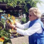 Pam Larsen leads a talk about how to keep ones organic plantings pest-free at Nashs Farm Store on Aug. 10.                                 Submitted photo